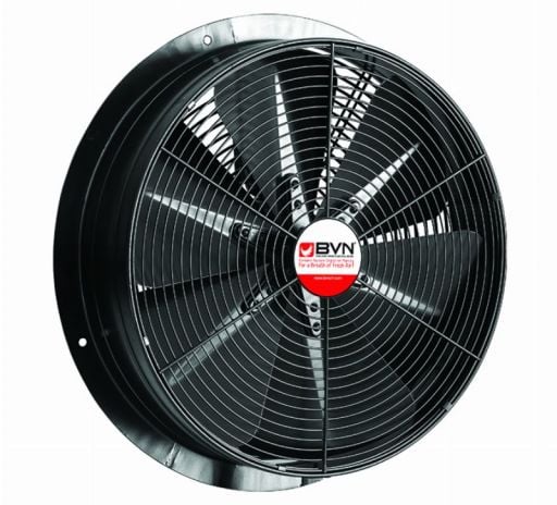 Aksiyel Fanlar